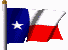 Texas flag